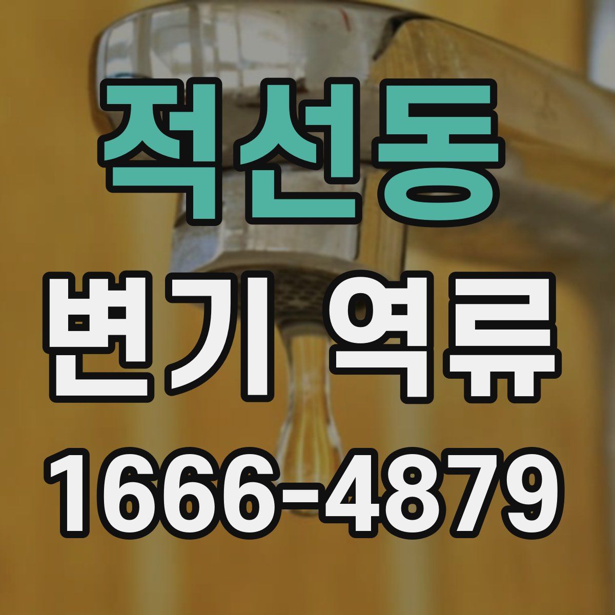 적선동 변기 역류