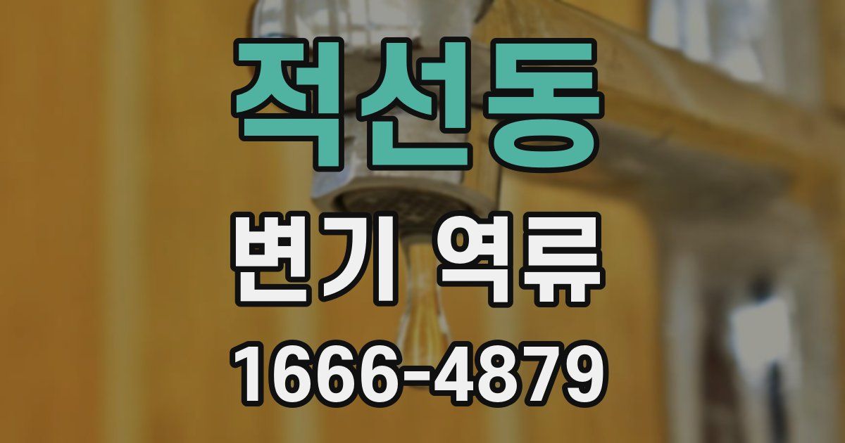 적선동 변기 역류