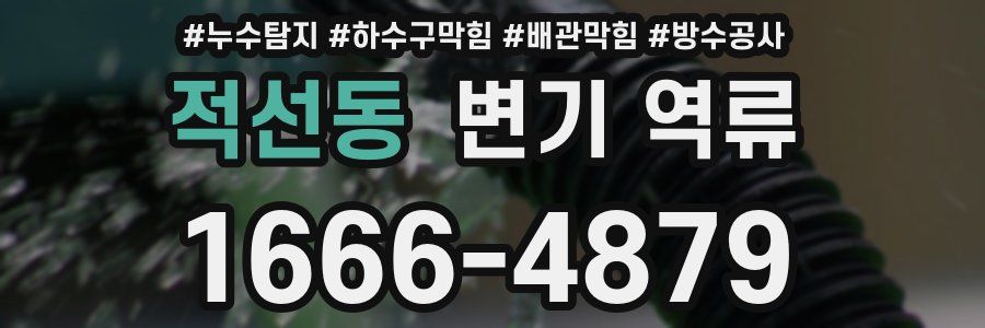 적선동 변기 역류