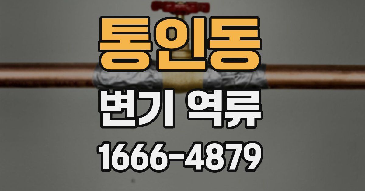 통인동 변기 역류