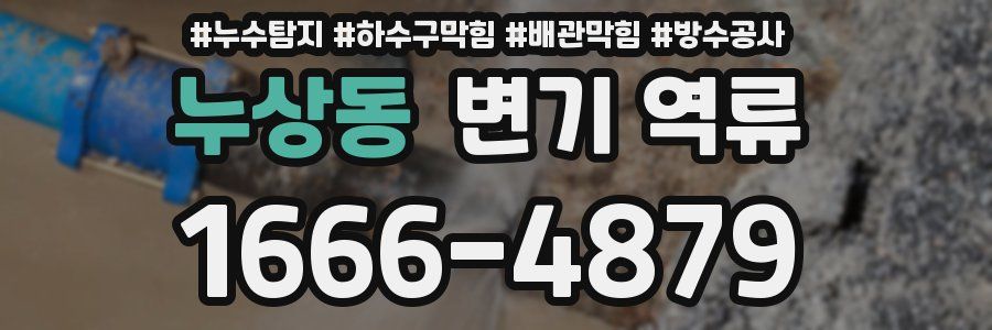 누상동 변기 역류
