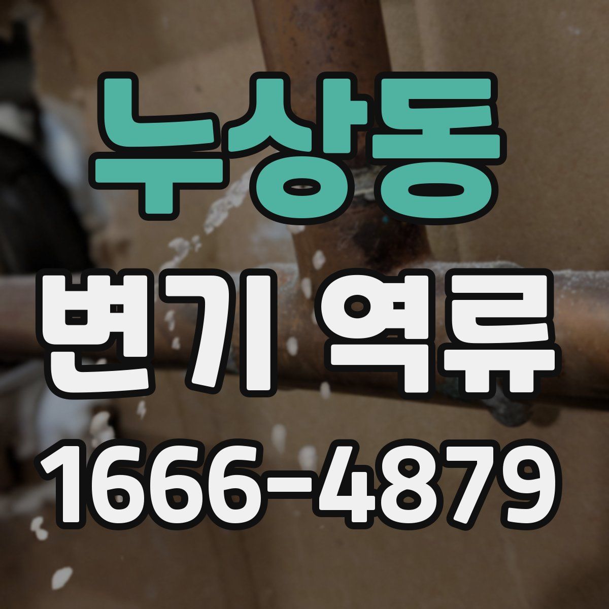 누상동 변기 역류