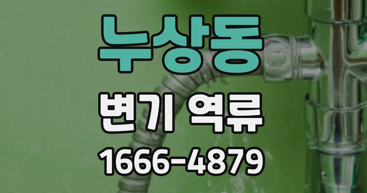 누상동 변기 역류