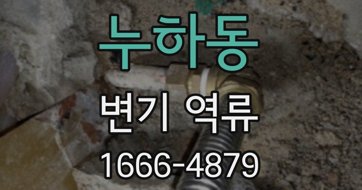 누하동 변기 역류