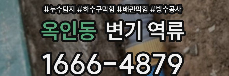 옥인동 변기 역류