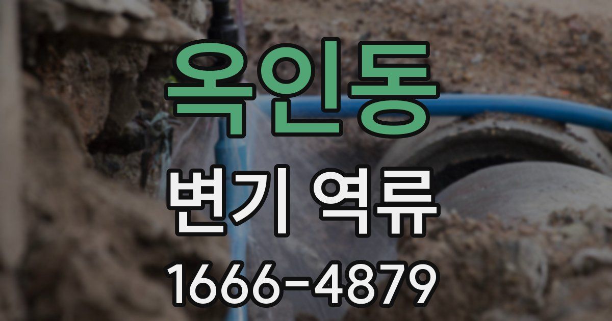 옥인동 변기 역류