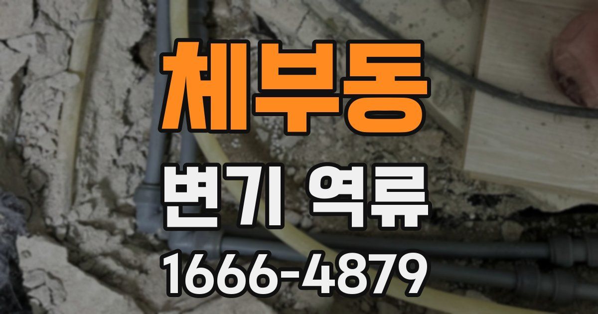 체부동 변기 역류