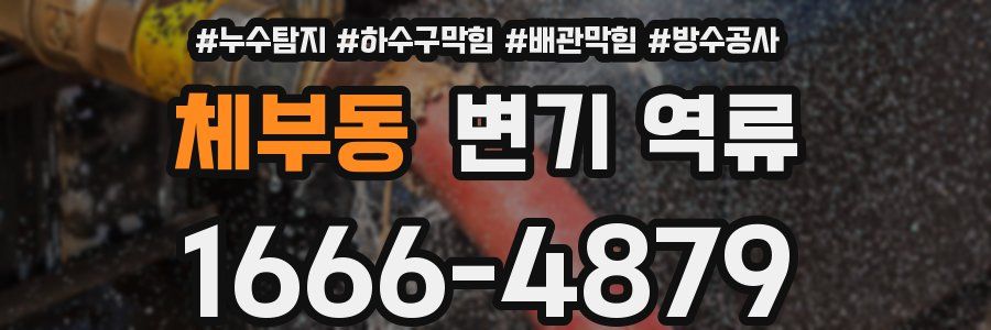 체부동 변기 역류