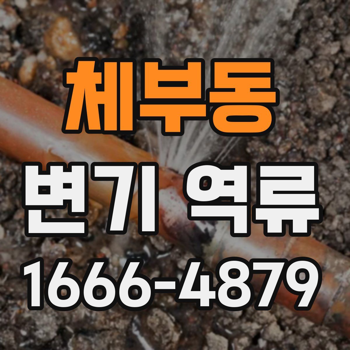 체부동 변기 역류