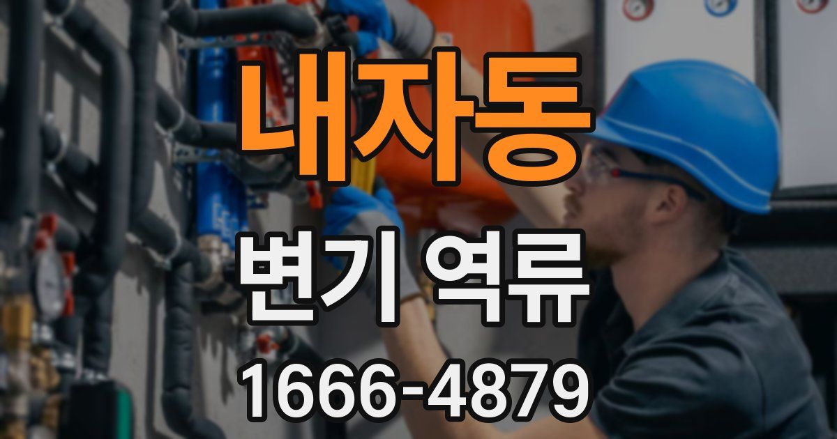내자동 변기 역류