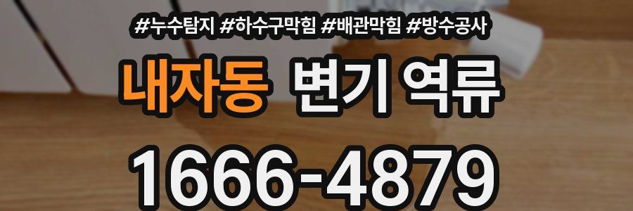 내자동 변기 역류