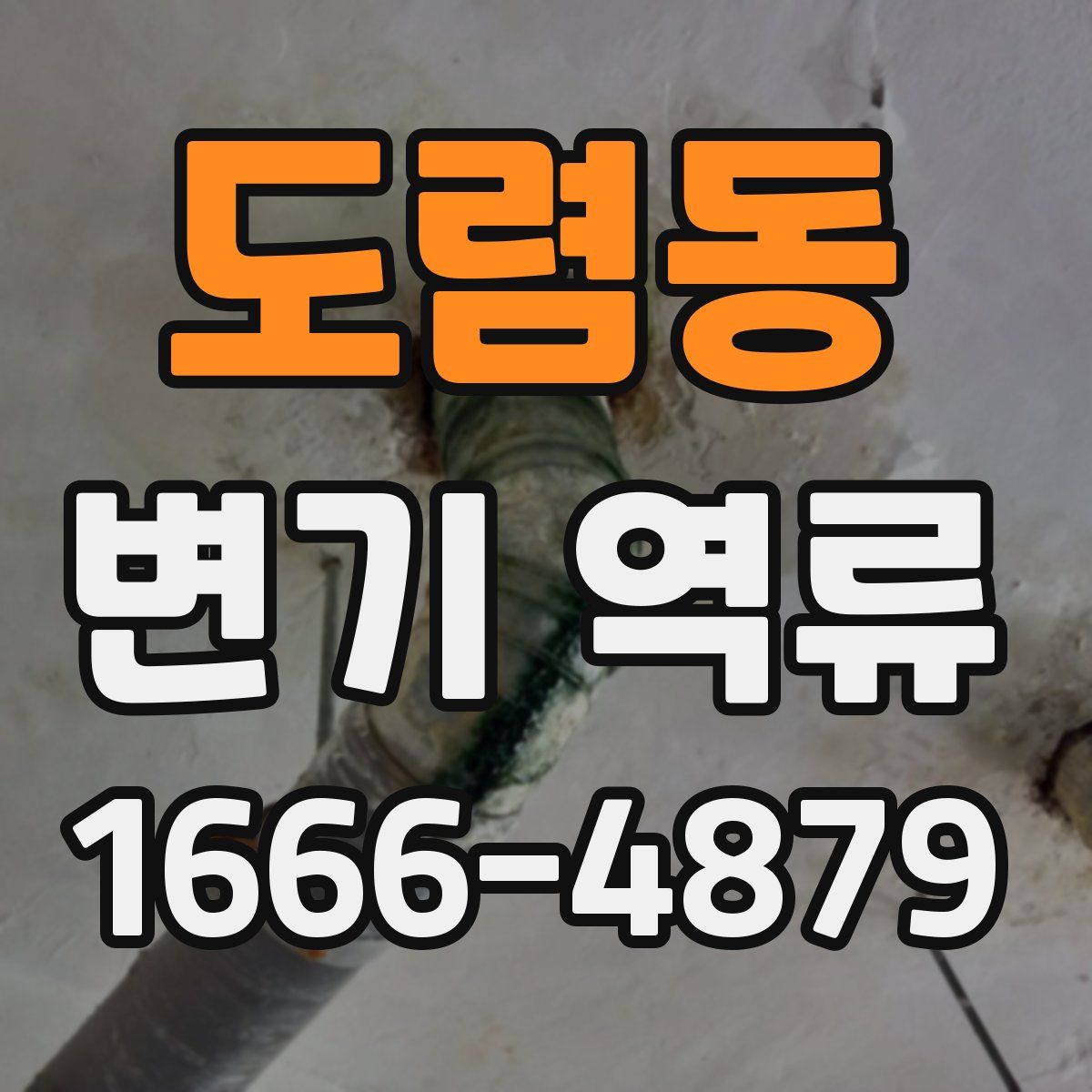 도렴동 변기 역류
