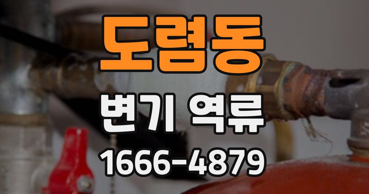 도렴동 변기 역류