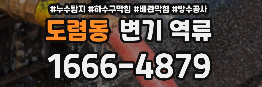 도렴동 변기 역류