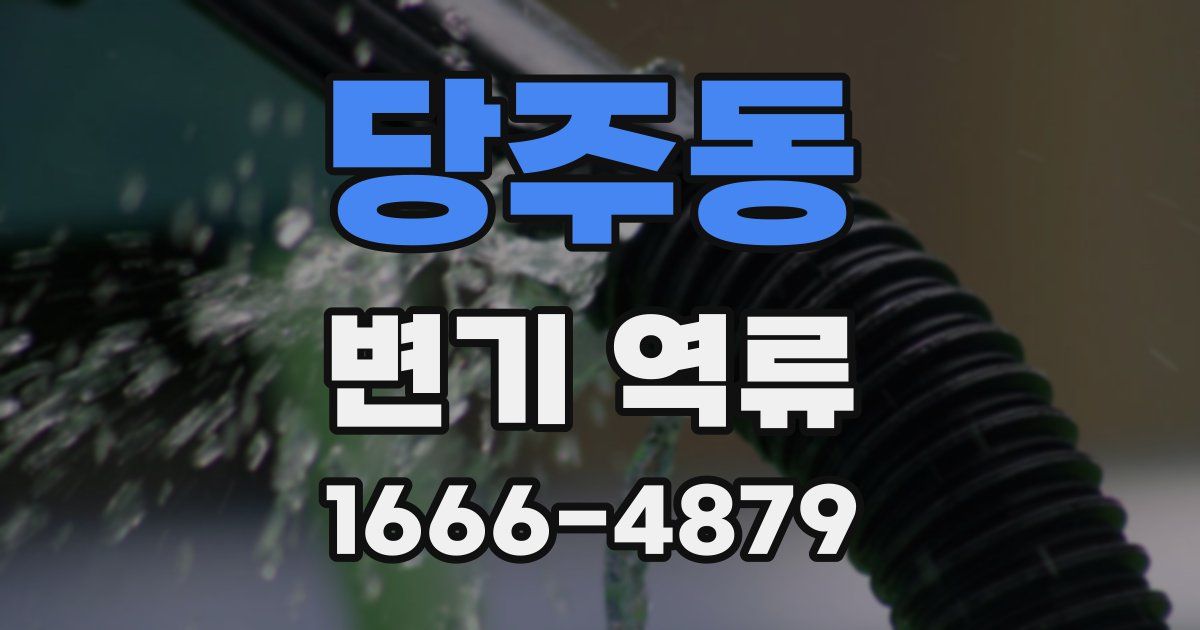 당주동 변기 역류