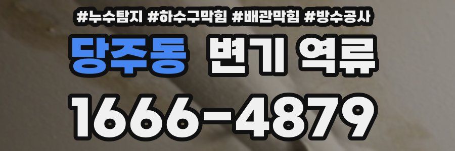당주동 변기 역류