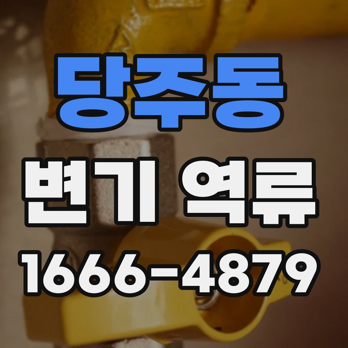 당주동 변기 역류
