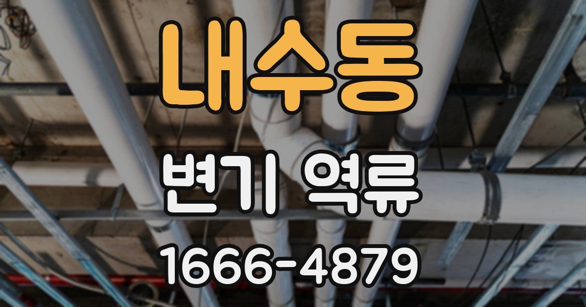 내수동 변기 역류