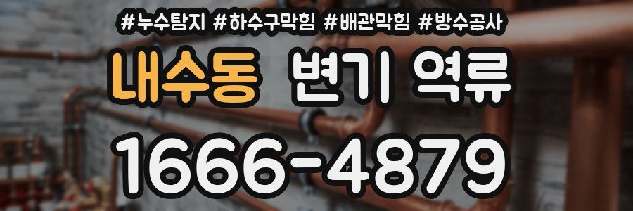 내수동 변기 역류