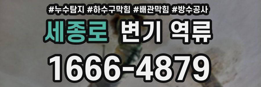 세종로 변기 역류