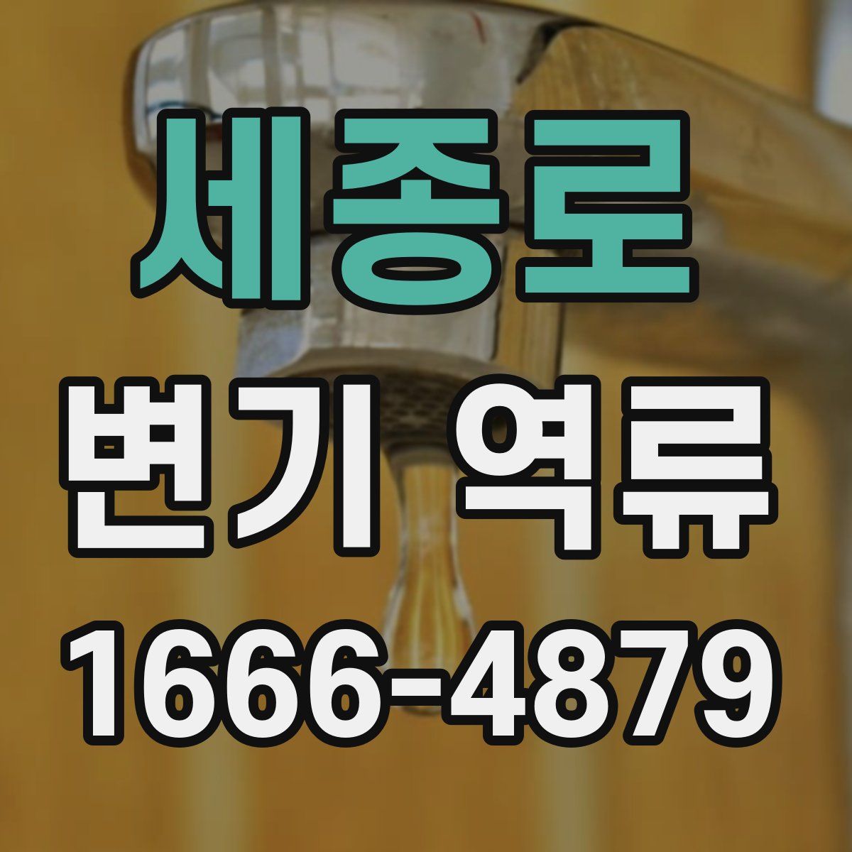 세종로 변기 역류