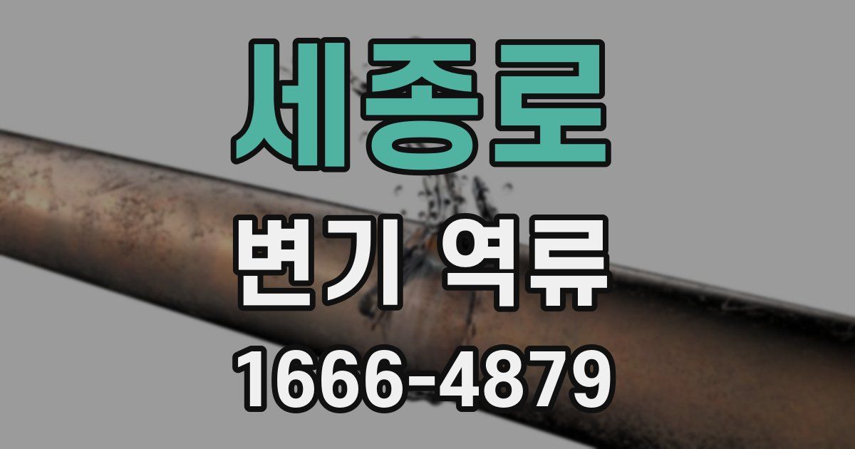 세종로 변기 역류