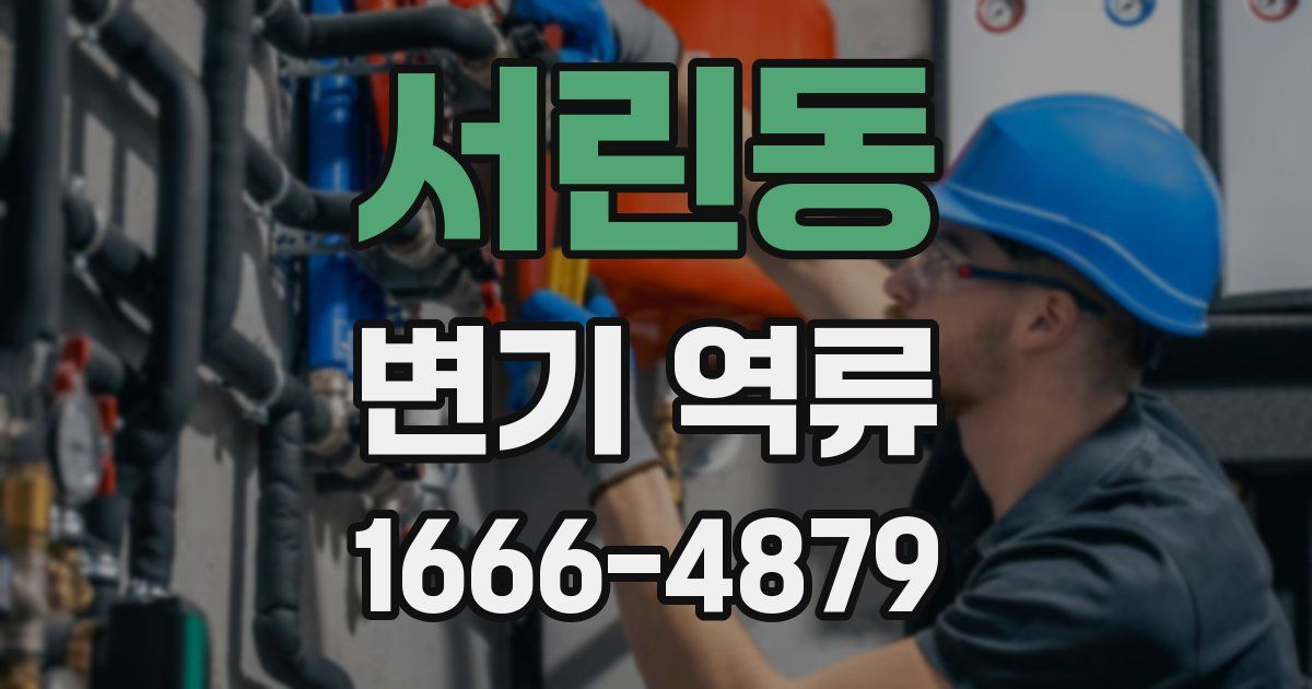 서린동 변기 역류