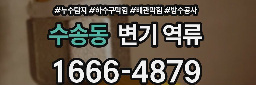 수송동 변기 역류