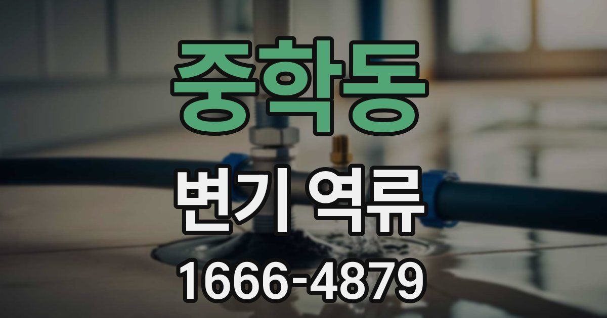 중학동 변기 역류