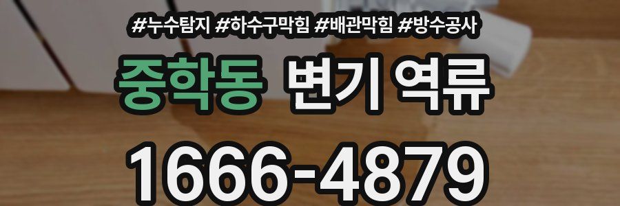 중학동 변기 역류