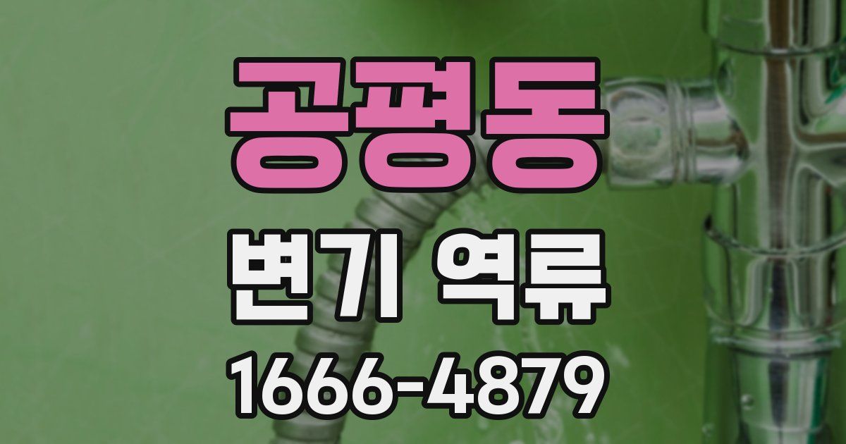 공평동 변기 역류