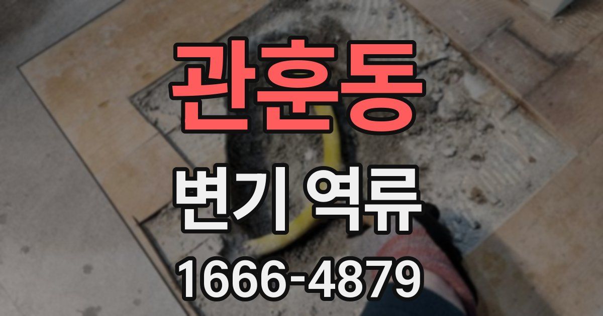 관훈동 변기 역류