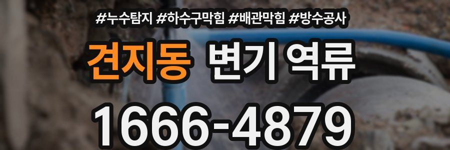 견지동 변기 역류