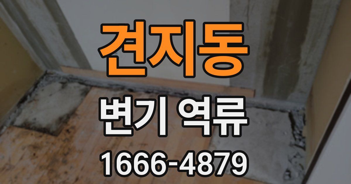 견지동 변기 역류