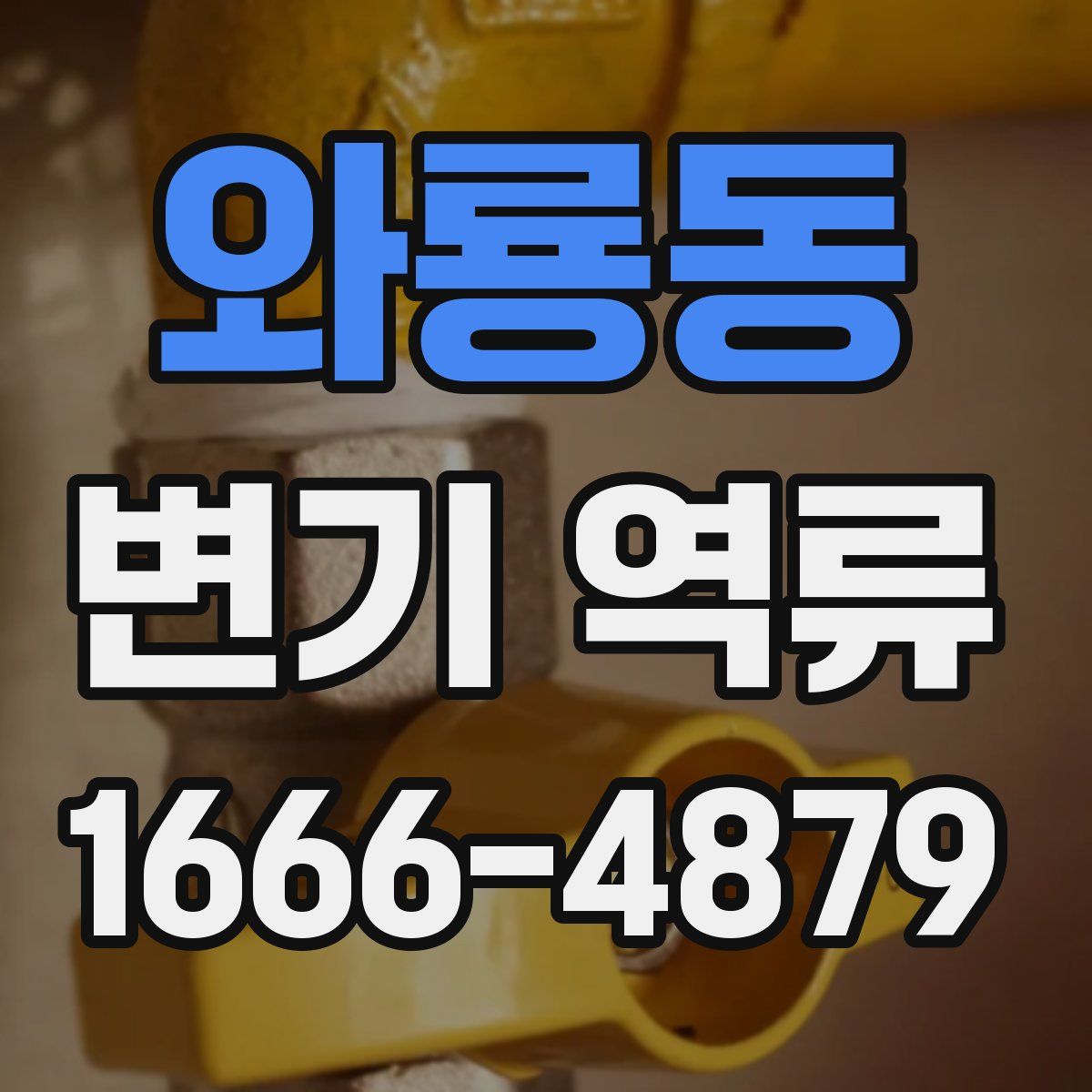 와룡동 변기 역류