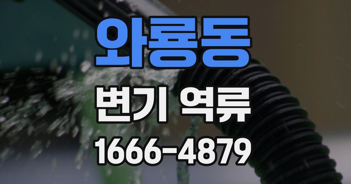 와룡동 변기 역류