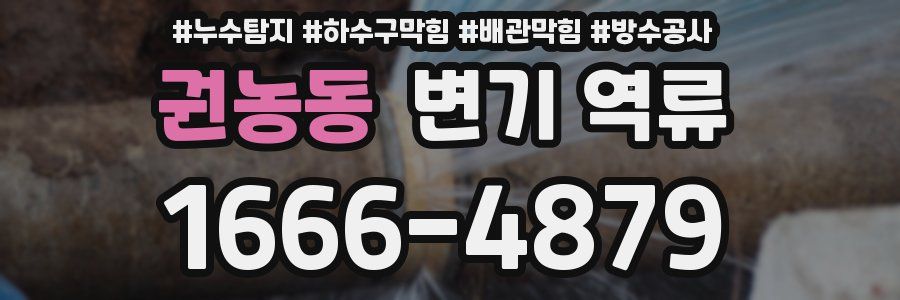 권농동 변기 역류