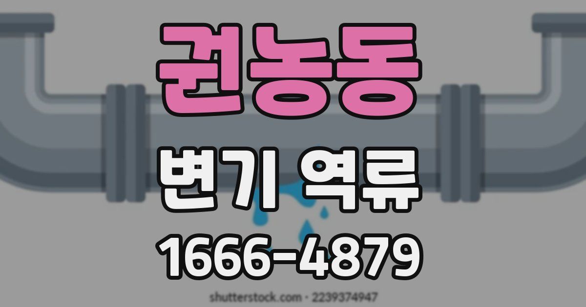 권농동 변기 역류