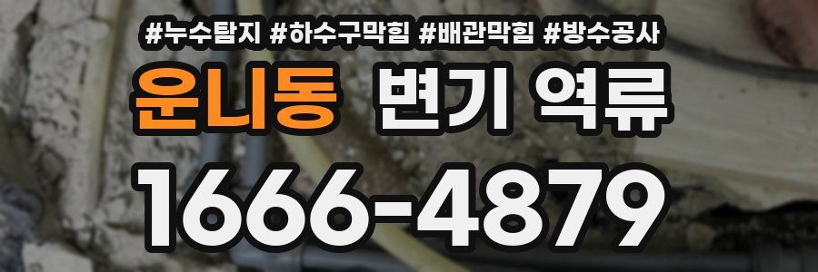 운니동 변기 역류