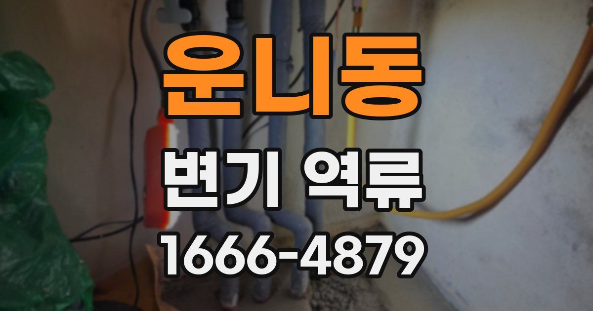 운니동 변기 역류