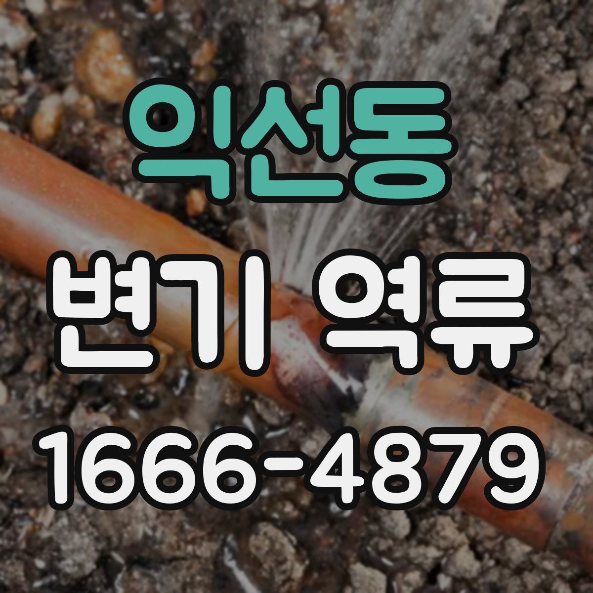 익선동 변기 역류