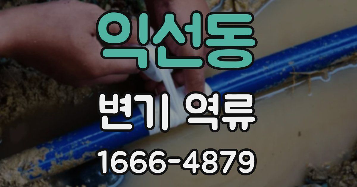 익선동 변기 역류