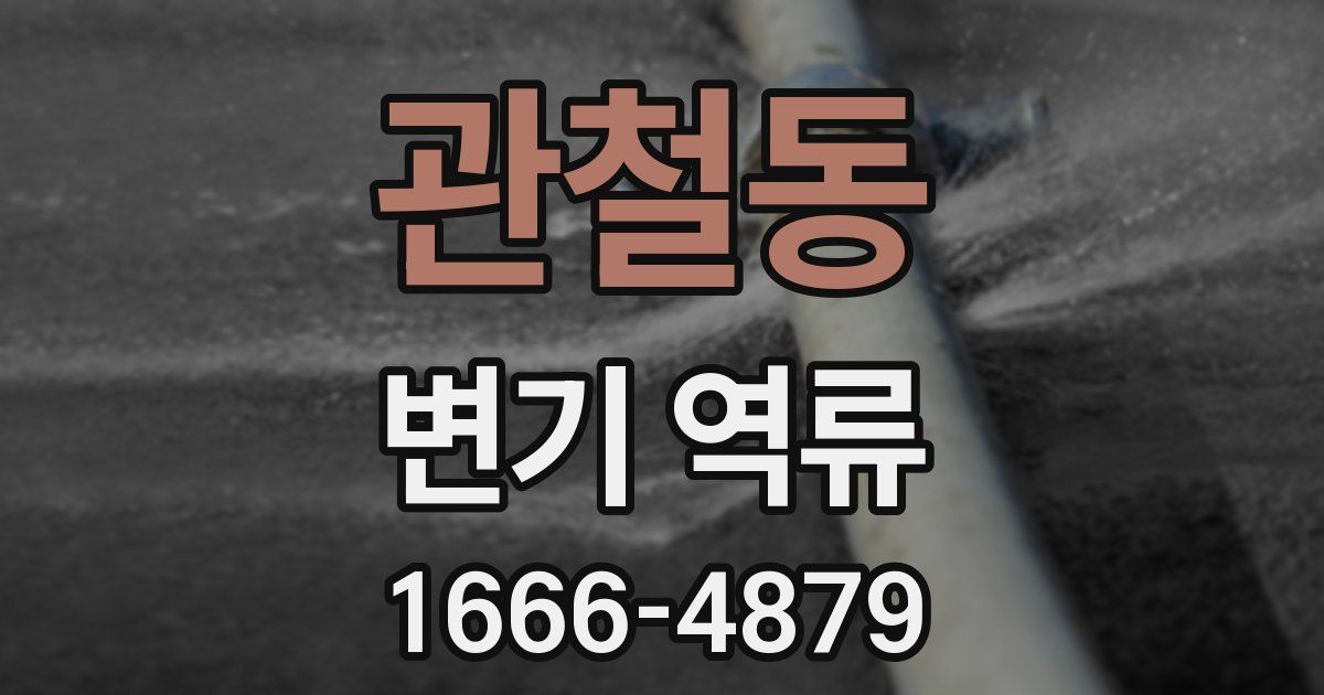 관철동 변기 역류