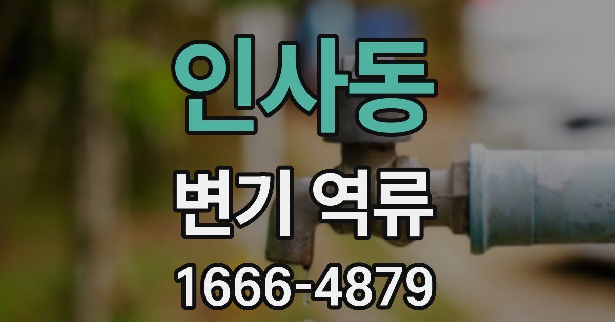 인사동 변기 역류