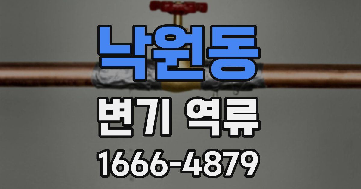 낙원동 변기 역류