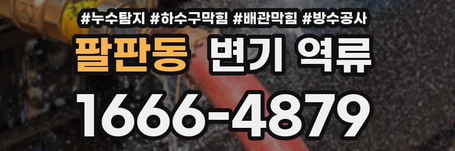 팔판동 변기 역류