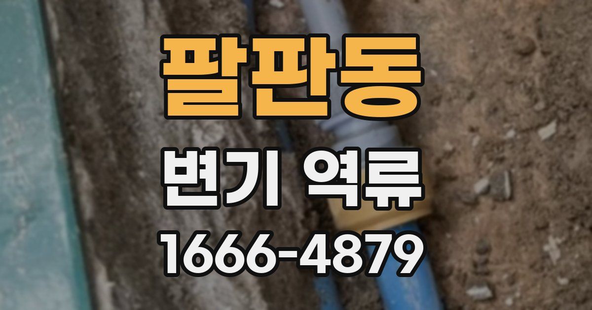 팔판동 변기 역류