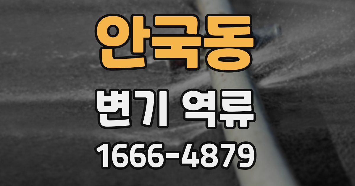 안국동 변기 역류