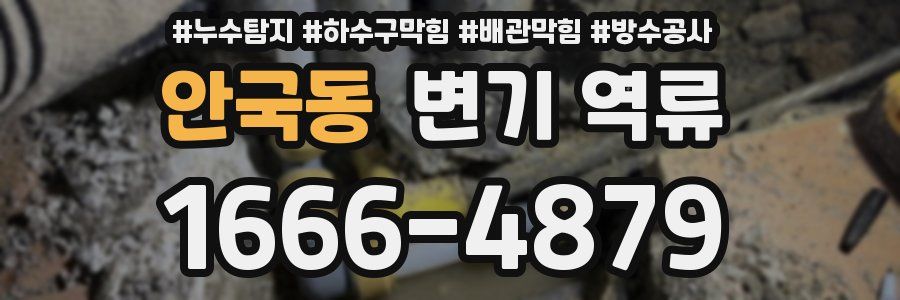 안국동 변기 역류