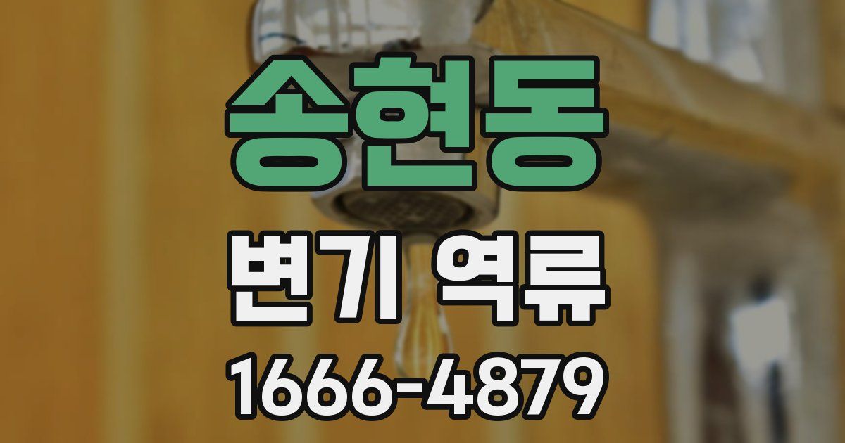 송현동 변기 역류
